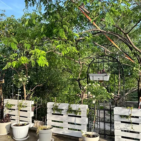 Apartment The Old Gate